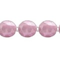 95- ROSA BB