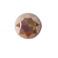 147-SALMAO