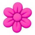 ROSA FLUORESCENTE