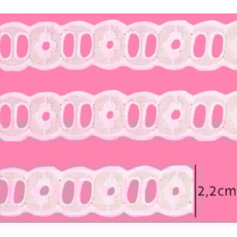 Bordado em algodão passa fita luli 112262  larg.: 2.20 cm  c/ 13.7 mts Bordado em algodão passa fita luli 112262  larg.: 2.20 cm  c/ 13.7 mts