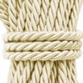 106- CHAMPANHE