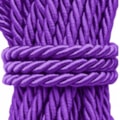21 - ROXO