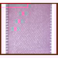 27-LILAS