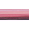 02- ROSA
