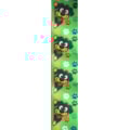 6296