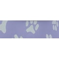 LILAS/BRANCO