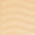 2091-NUDE