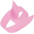ROSA CHICLETE