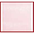 19-ROSA CLARO