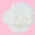 CREME