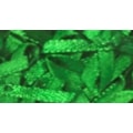 VERDE BANDEIRA