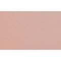 5861- ROSE