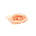 SALMÃO 