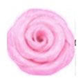 ROSA BEBE