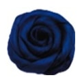 AZUL MARINHO