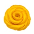 AMARELO OURO