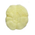 AMARELO CLARO