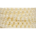 296 - CREME