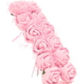 132- ROSA