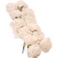 296-CREME